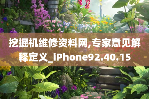 挖掘机维修资料网,专家意见解释定义_iPhone92.40.15