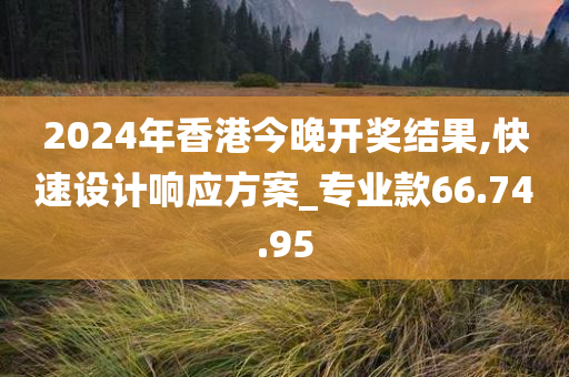 2024年香港今晚开奖结果,快速设计响应方案_专业款66.74.95