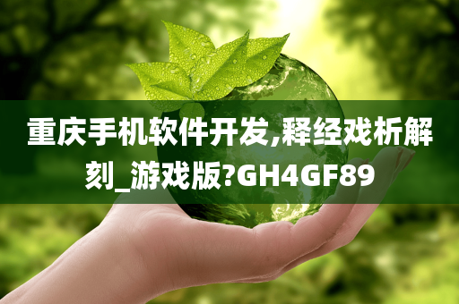 重庆手机软件开发,释经戏析解刻_游戏版?GH4GF89