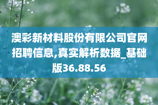 澳彩新材料股份有限公司官网招聘信息,真实解析数据_基础版36.88.56