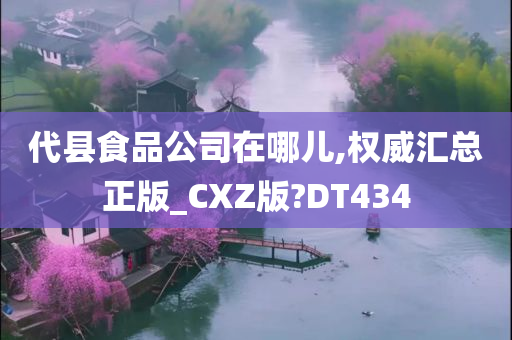 代县食品公司在哪儿,权威汇总正版_CXZ版?DT434