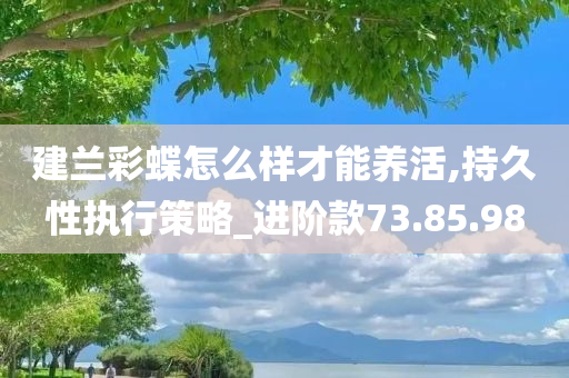 建兰彩蝶怎么样才能养活,持久性执行策略_进阶款73.85.98