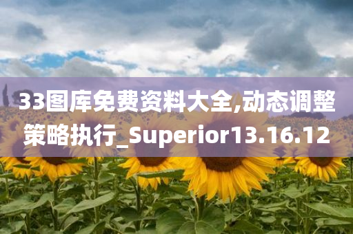 33图库免费资料大全,动态调整策略执行_Superior13.16.12