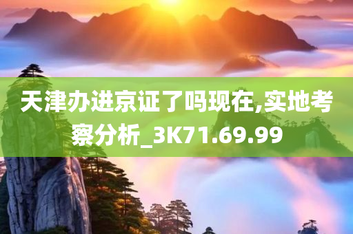 天津办进京证了吗现在,实地考察分析_3K71.69.99