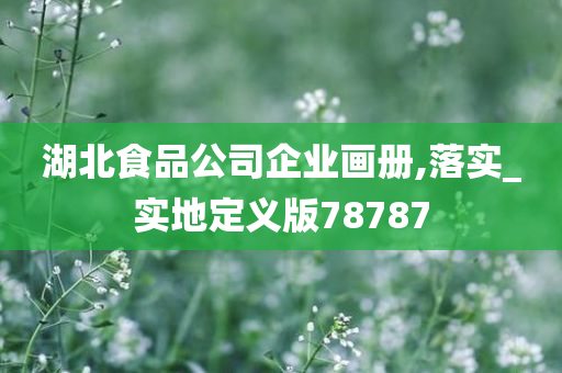 湖北食品公司企业画册,落实_实地定义版78787