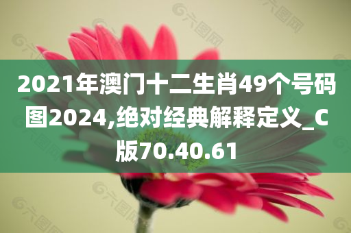 2021年澳门十二生肖49个号码图2024,绝对经典解释定义_C版70.40.61