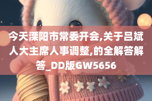 今天溧阳市常委开会,关于吕斌人大主席人事调整,的全解答解答_DD版GW5656