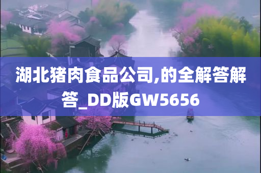 湖北猪肉食品公司,的全解答解答_DD版GW5656