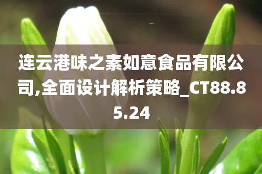 连云港味之素如意食品有限公司,全面设计解析策略_CT88.85.24