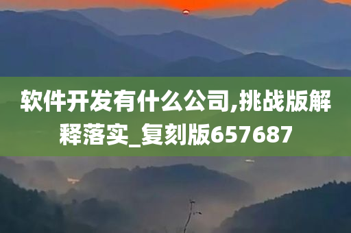 软件开发有什么公司,挑战版解释落实_复刻版657687