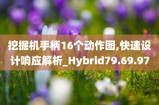 挖掘机手柄16个动作图,快速设计响应解析_Hybrid79.69.97