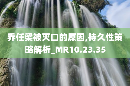 乔任梁被灭口的原因,持久性策略解析_MR10.23.35