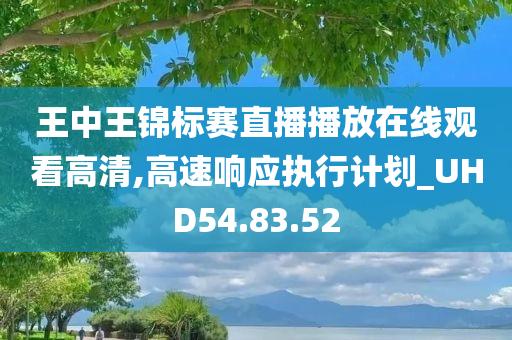 王中王锦标赛直播播放在线观看高清,高速响应执行计划_UHD54.83.52