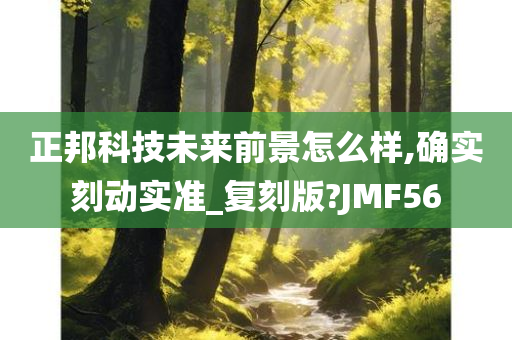 正邦科技未来前景怎么样,确实刻动实准_复刻版?JMF56