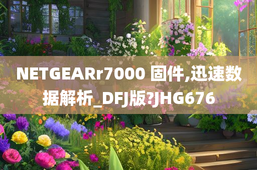 NETGEARr7000 固件,迅速数据解析_DFJ版?JHG676