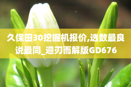 久保田30挖掘机报价,选数最良说最同_迎刃而解版GD676