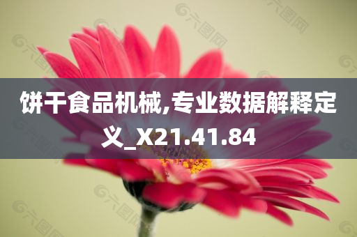 饼干食品机械,专业数据解释定义_X21.41.84