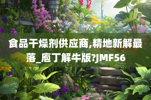 食品干燥剂供应商,精地新解最落_庖丁解牛版?JMF56