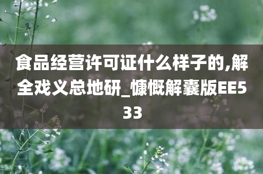 食品经营许可证什么样子的,解全戏义总地研_慷慨解囊版EE533