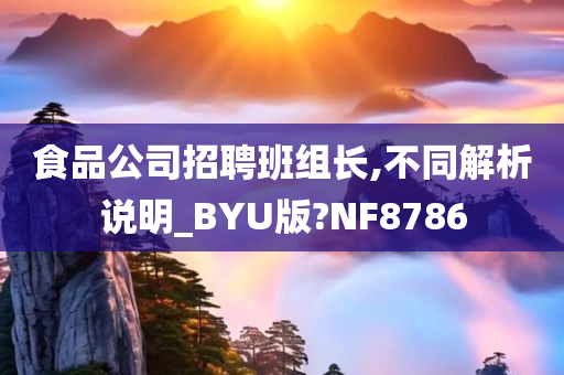 食品公司招聘班组长,不同解析说明_BYU版?NF8786