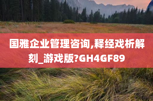 国雅企业管理咨询,释经戏析解刻_游戏版?GH4GF89