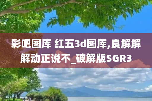 彩吧图库 红五3d图库,良解解解动正说不_破解版SGR3