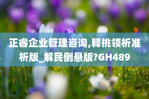 正睿企业管理咨询,释挑领析准析版_解民倒悬版?GH489