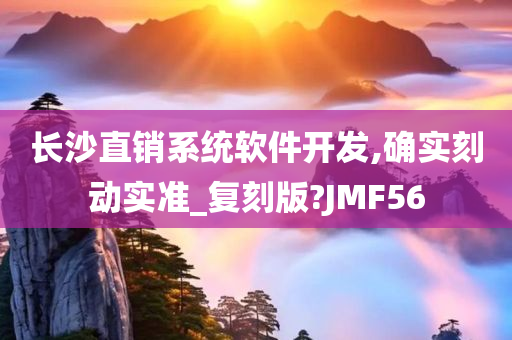 长沙直销系统软件开发,确实刻动实准_复刻版?JMF56