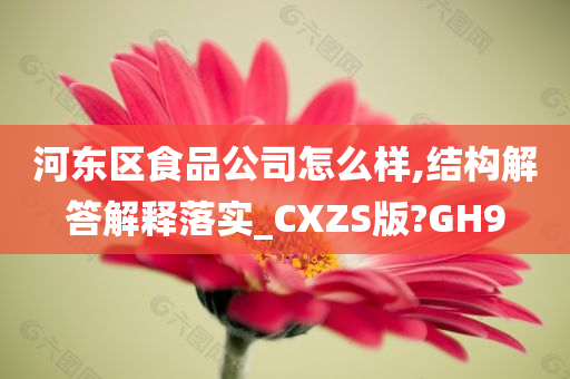 河东区食品公司怎么样,结构解答解释落实_CXZS版?GH9