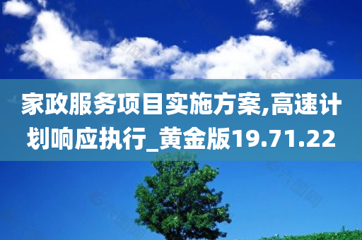 家政服务项目实施方案,高速计划响应执行_黄金版19.71.22