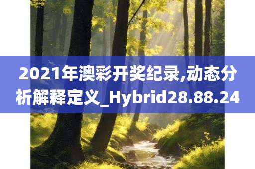 2021年澳彩开奖纪录,动态分析解释定义_Hybrid28.88.24