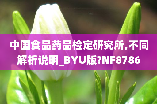 中国食品药品检定研究所,不同解析说明_BYU版?NF8786