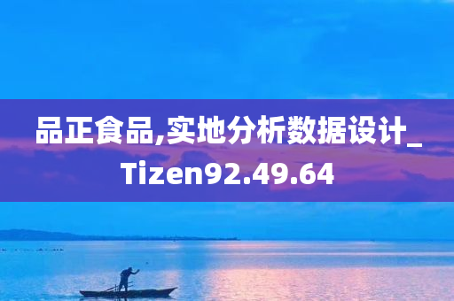 品正食品,实地分析数据设计_Tizen92.49.64