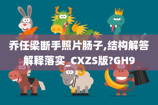 乔任梁断手照片肠子,结构解答解释落实_CXZS版?GH9