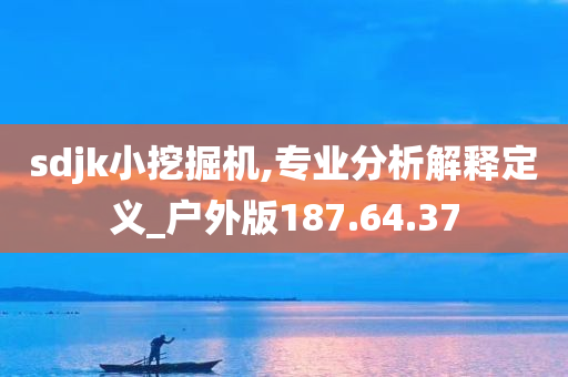 sdjk小挖掘机,专业分析解释定义_户外版187.64.37