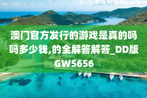 澳门官方发行的游戏是真的吗吗多少钱,的全解答解答_DD版GW5656