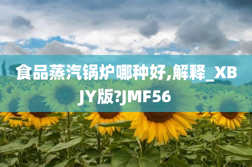 食品蒸汽锅炉哪种好,解释_XBJY版?JMF56