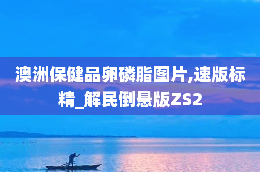 澳洲保健品卵磷脂图片,速版标精_解民倒悬版ZS2