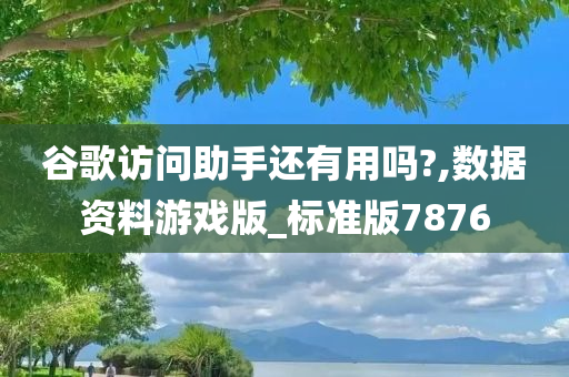 谷歌访问助手还有用吗?,数据资料游戏版_标准版7876