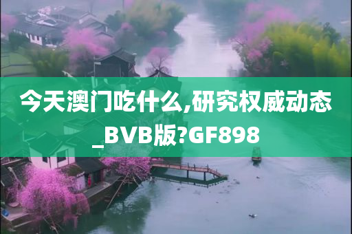 BVB动态