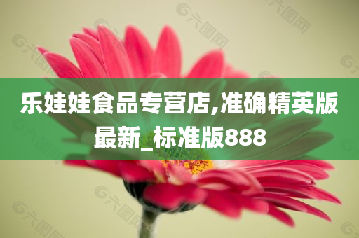 乐娃娃食品专营店,准确精英版最新_标准版888