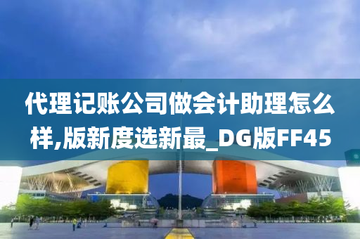 代理记账公司做会计助理怎么样,版新度选新最_DG版FF45