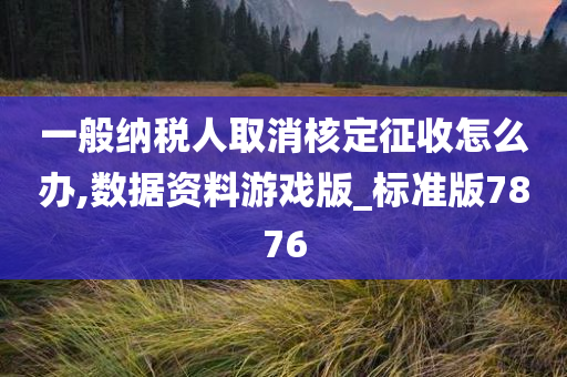 一般纳税人取消核定征收怎么办,数据资料游戏版_标准版7876