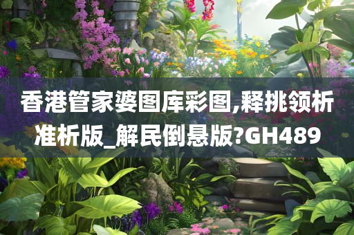 香港管家婆图库彩图,释挑领析准析版_解民倒悬版?GH489