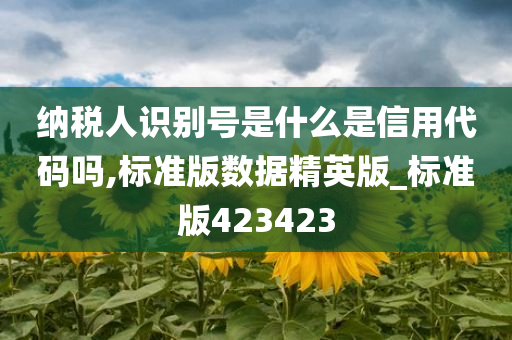 纳税人识别号是什么是信用代码吗,标准版数据精英版_标准版423423