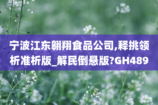 宁波江东翱翔食品公司,释挑领析准析版_解民倒悬版?GH489