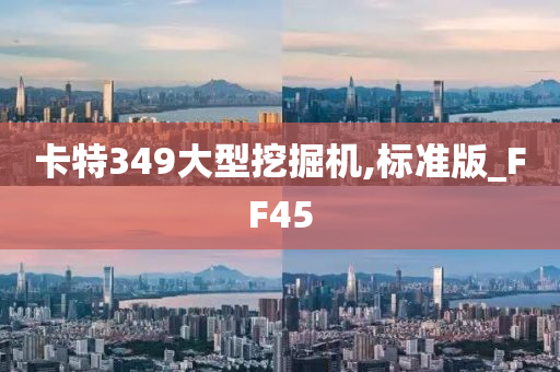 卡特349大型挖掘机,标准版_FF45