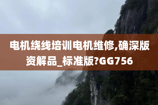 电机绕线培训电机维修,确深版资解品_标准版?GG756