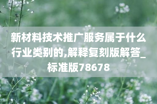 新材料技术推广服务属于什么行业类别的,解释复刻版解答_标准版78678