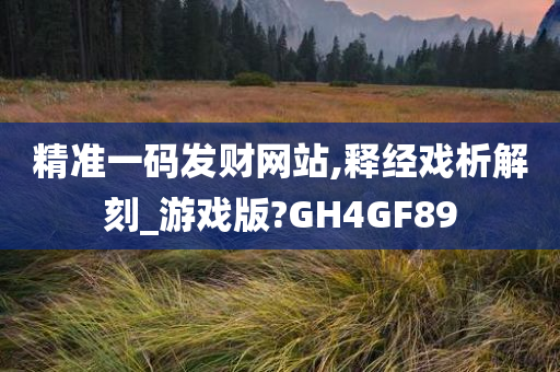 精准一码发财网站,释经戏析解刻_游戏版?GH4GF89